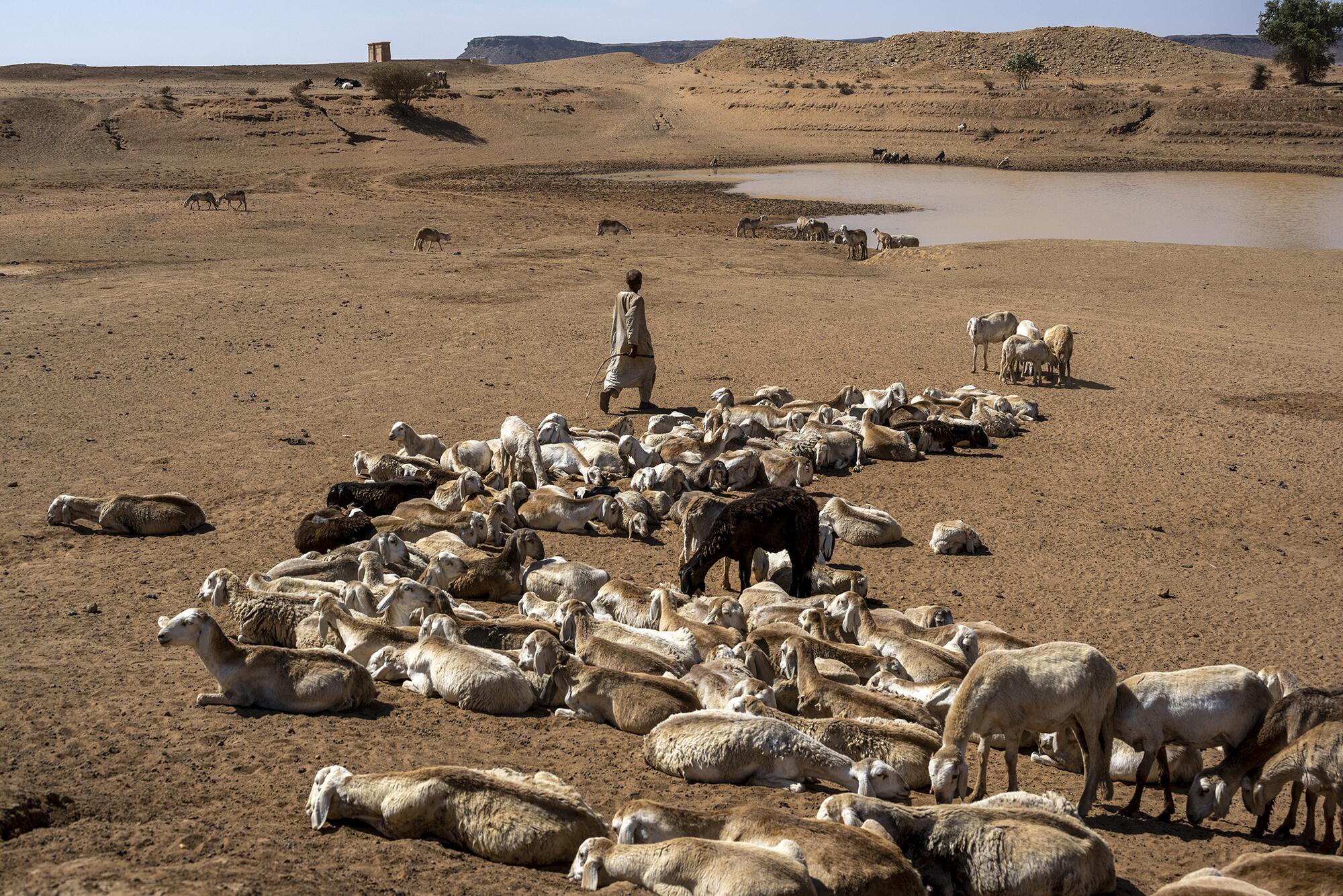 Los guardianes de Kush - 3
